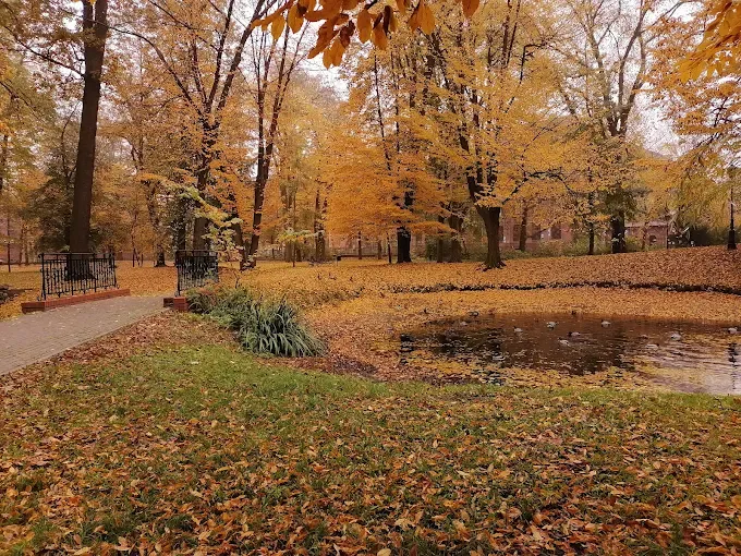 Park Miejski im. Karola Dittricha w Żyrardowie